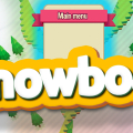 Snowboard Ski