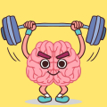Perfect Brain 3D