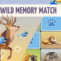 Wild Memory