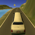 Limousine Driver