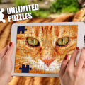 Unlimited Puzzles