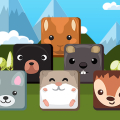 Hamster Pop