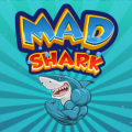 Mad Shark