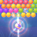 Bubble Queen Cat