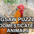 Jigsaw Puzzle Domesticated Animals