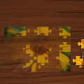 Jigsaw Puzzle