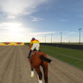 Horse Ride Racing
