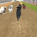 Angry Bull Racing