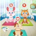 Animal Daycare