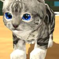 Cat Simulator