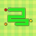 Fruit Snake