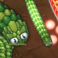 Little Big Snake (.io)
