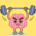 Perfect Brain 3D
