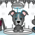 Pet Salon Doggy Days