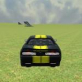 Sports Cars Driver