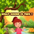 What Sound Is This