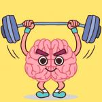 Perfect Brain 3D